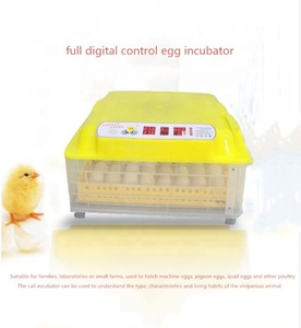 Máy Ấp Trứng Mini Ấp Trứng/Máy Ấp Trứng Gia Cầm Tự Động Máy Ấp Trứng Gà/Máy Ấp Trứng Tỷ Lệ Ấp Trứng Cao - Product Image 2
