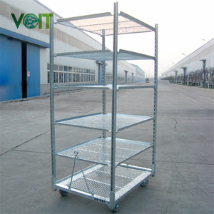 VOIT Xe Ngựa CC Euro Xe Đẩy Trồng Nấm Cho Vườn Ươm Hoa Danois - Product Image 2