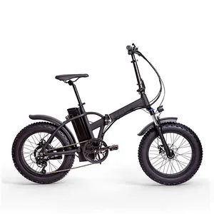 वसा टायर ई बाइक निर्माता शेयर ई बाइक के लिए 500w 48v चीन सिटी रोड लिथियम बैटरी इलेक्ट्रिक साइकिल