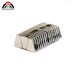 China Wholesale Customized Strong N52 Sell Powerful Magnetic Fan Shaped Magnet Supplier