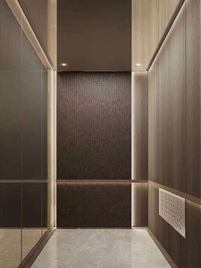 Ascenseur professionnel d'application d'hôtels de plancher de PVC pour l'hôpital d'hôtel - Product Image 6