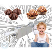 Machine de fabrication de pâtisseries, 1000g, petites haricots de cacao, lièvre, barre de chocolat, pâte, traitement de amélioration, rectifieuse