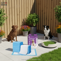 Nouvel arrivage : Tapis d'entraînement pour animaux de compagnie, portable, imperméable, pliable, pour l'extérieur et les voyages, avec charbon de bambou, aide à l'apprentissage de la propreté pour chiens