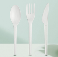 Ensemble de couverts de fête biodégradables et compostables certifiés BPI ABA DIN CERTCO, en CPLA écologique, couteau, fourchette, cuillère, Green Day