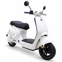 Skuter Listrik 400 W AILU AL-M1 48 V 23 Ah Baterai Asam Timbal Motor Tanpa Sikat Rem Cakram Depan dan Rem Tromol Belakang OEM ODM Grosir