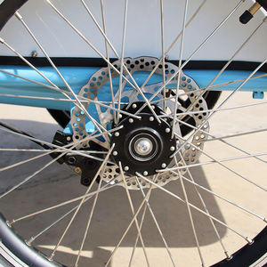 Pedale Cargo triciclo elettrico Cargo Bike olandese 3 <span class=keywords><strong>ruote</strong></span> Cargo famiglia Bakfiet rimorchio E-cargo <span class=keywords><strong>bici</strong></span> <span class=keywords><strong>con</strong></span> cestello anteriore - Product Image 6