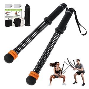 CZFIT Heavy Duty Ropeless Cordless <b>Weighted</b> Battle Ropes Home Gym Portable Fitness Equipment with Custom Packaging - Product Image 1
