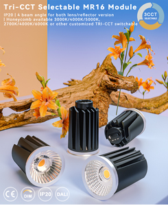 โมดูลไฟ LED MR16 แบบ COB ขนาด 9 วัตต์ ปรับความสว่างได้ 3CCT  ได้รับการรับรองมาตรฐาน CE และ RoHS เหมาะสำหรับไฟส่องสว่างในโรงแรม - Product Image 5