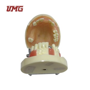 Modelo de Práctica de Implantes Dentales UMG UM-2003 con Encía Suave para Prácticas de Corte, Sutura e Implantes, Certificado CE - Product Image 4