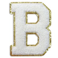 Parches Autoadhesivos de Poliéster y Algodón con Bordado de Letras, Bordado Computarizado, Multicolor, Accesorios de Ropa