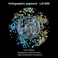 Poudre Holographique Arc-en-ciel en Gros (10 µm à 1000 µm) – Pigment Holographique Argenté pour Peinture, Encre, Plastique, Cosmétiques et Revêtements
