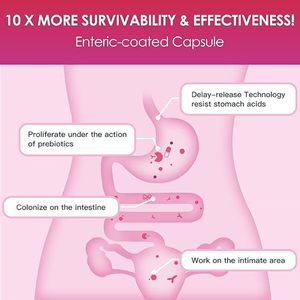 Cápsulas de Probióticos OEM para Mujeres, Salud Intestinal Natural, Salud Vaginal, Cápsulas para el Bienestar Emocional y del Estado de Ánimo - Product Image 4