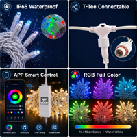 Luces Decorativas para Exteriores con Clasificación IP65, Control de un Solo Punto, Codificadas, para Envolver Árboles, Venta al Por Mayor de Fábrica