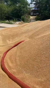 Machine d'aspiration électrique domestique pour céréales et <span class=keywords><strong>riz</strong></span>, avec vis d'alimentation en plastique et tuyau flexible, pour usage agricole - Product Image 3