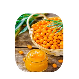 Hữu cơ cây hắc mai biển Berry puree trái cây chiết xuất axit amin flavone và vitamin phong phú chân không đóng gói trống đóng gói - Product Image 1