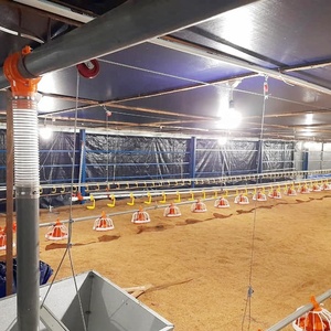 Gà trung chuyển và uống rượu chăn nuôi gia cầm tự động hệ thống - Product Image 6