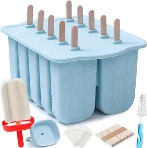 Grand moule à popsicle en silicone à 10 cavités avec support à popsicle en silicone