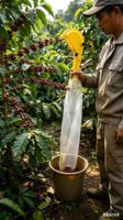 Herramienta Manual para Recoger Cerezas de Café con Bolsa de Recolección, Herramienta Agrícola Económica para Pequeños Productores