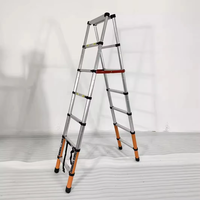 Échelle télescopique en fer multi-couches antidérapante double face pour dropshipping, capacité 150 kg, conforme EN131, antirouille, pour salle de sport
