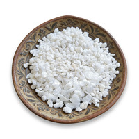 Perlite mélangée multi-tailles pour culture hors sol, documents d'exportation complets pour clients B2B étrangers faisant des affaires de végétalisation de toitures