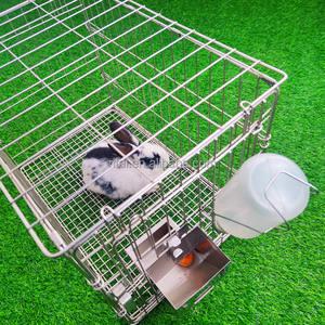 Laboratorio in acciaio inossidabile grandi gabbie per allevamento di conigli commerciali - Product Image 3