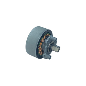 Motor sin Escobillas 3816, Montaje de Brida de 32 mm, 6000 RPM, 36 V, Imán Permanente, Totalmente Cerrado, para Uso en Instrumentos Cosméticos - Product Image 3