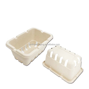 Présentoir de supermarché biodégradable, emballage écologique, boîte de pulpe en fibre moulée pour fruits de baies, cerises, tomates et champignons - Product Image 2