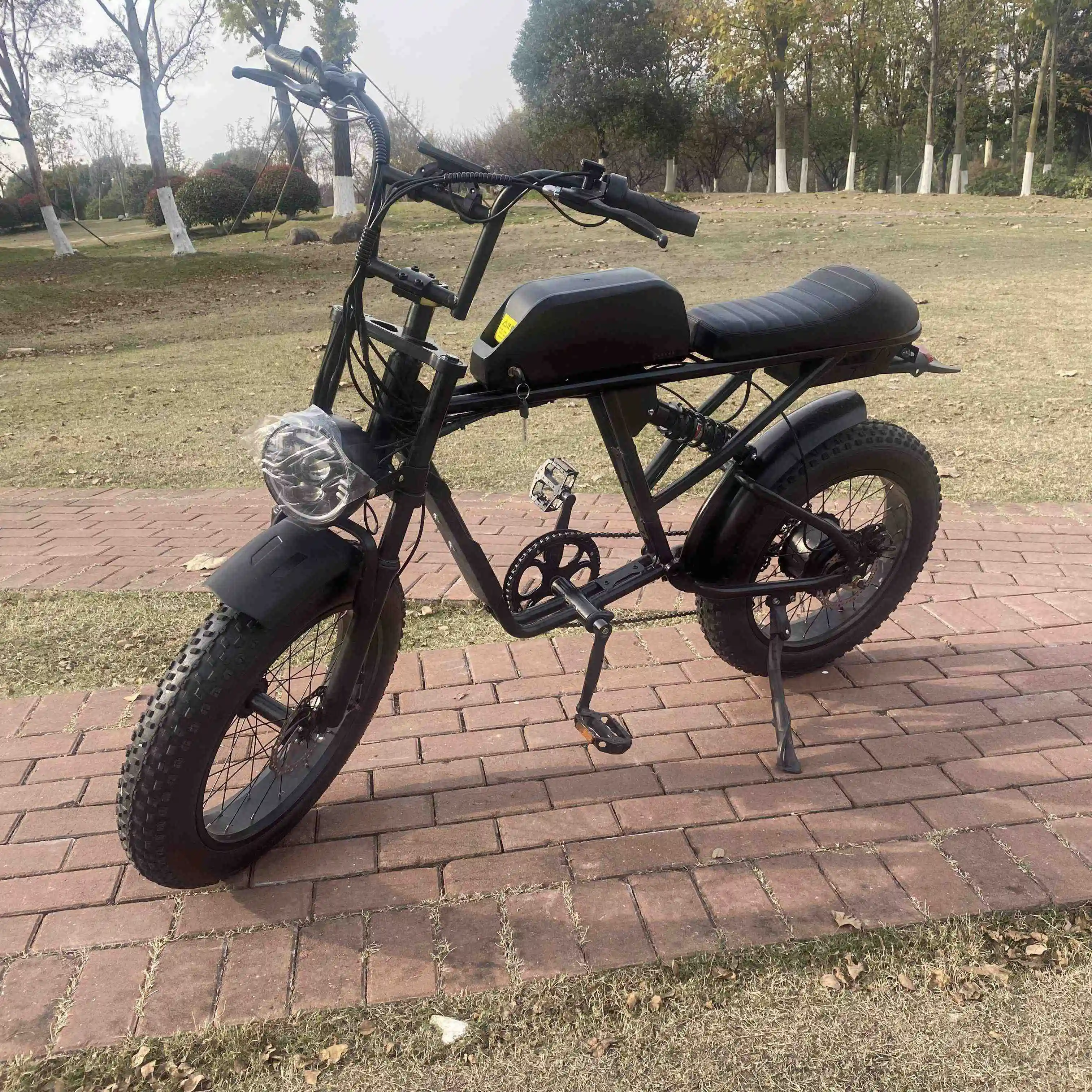 뜨거운 판매 다이너볼트 Ebike 250 W