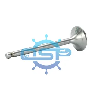 Genuine Quality Diesel Engine Spare Parts Inlet & Exhaust Valve Spindle Russia 18/22 21/21 25/34 For Marine Engine valve