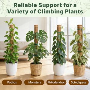 Poste <span class=keywords><strong>de</strong></span> musgo apilable <span class=keywords><strong>de</strong></span> PVC y madera, ecológico, soporte para plantas Monstera, trellis para plantas <span class=keywords><strong>de</strong></span> interior, estacas <span class=keywords><strong>de</strong></span> jardinería extensibles, etiquetas para plantas - Product Image 3