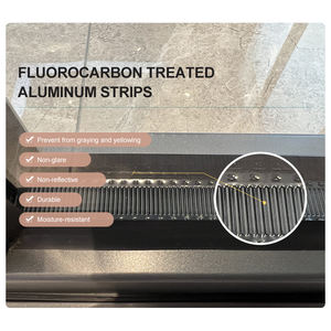 <span class=keywords><strong>Puerta</strong></span> Plegable de Aluminio de Doble Vidrio, Estilo Moderno, para Hotel o Restaurante, Modelo OUNA AS2047 TOMA - Product Image 6