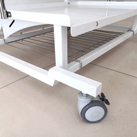LIZE PET Incubateur portable de soins intensifs pour animaux de compagnie pour clinique vétérinaire Support d'incubateur pour chien vétérinaire
