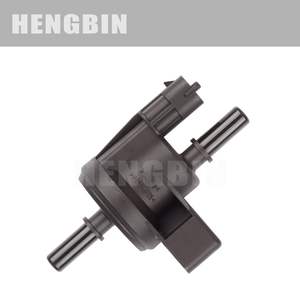 Válvulas de Control de Solenoide para Canister de Carbón con Números de Pieza 0280142449 12611801 12591334 214-1685 0280142000 - Product Image 4