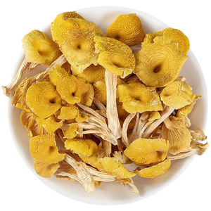 Champignons jaunes naturels de haute qualité cultivés Cantharellus Cibarius Shiitake champignon chanterelle séché cru et déshydraté - Product Image 3