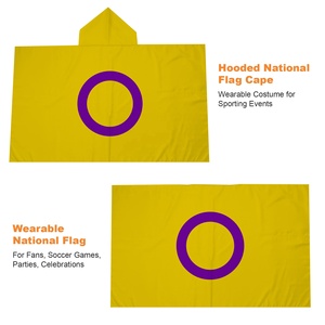 Drapeau corporel LGBTQ imprimé sur mesure en gros (OEM) 3x5ft, Série Fierté Intersexuelle, Fabriqué sur commande, Production rapide, Fabricant direct - Product Image 2