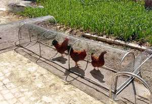 Katı desen Metal tavuk kümesi katlanır tavuk kümesi kafesleri küçük hayvanlar için sıçan geçirmez prefabrik ev - Product Image 6