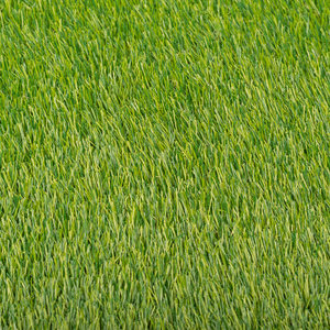 <span class=keywords><strong>Gazon</strong></span> synthétique souple imperméable <span class=keywords><strong>de</strong></span> haute qualité en <span class=keywords><strong>rouleau</strong></span> pour application intérieure, idéal pour les jardins, le sport et le football – Tapis paysager premium - Product Image 5