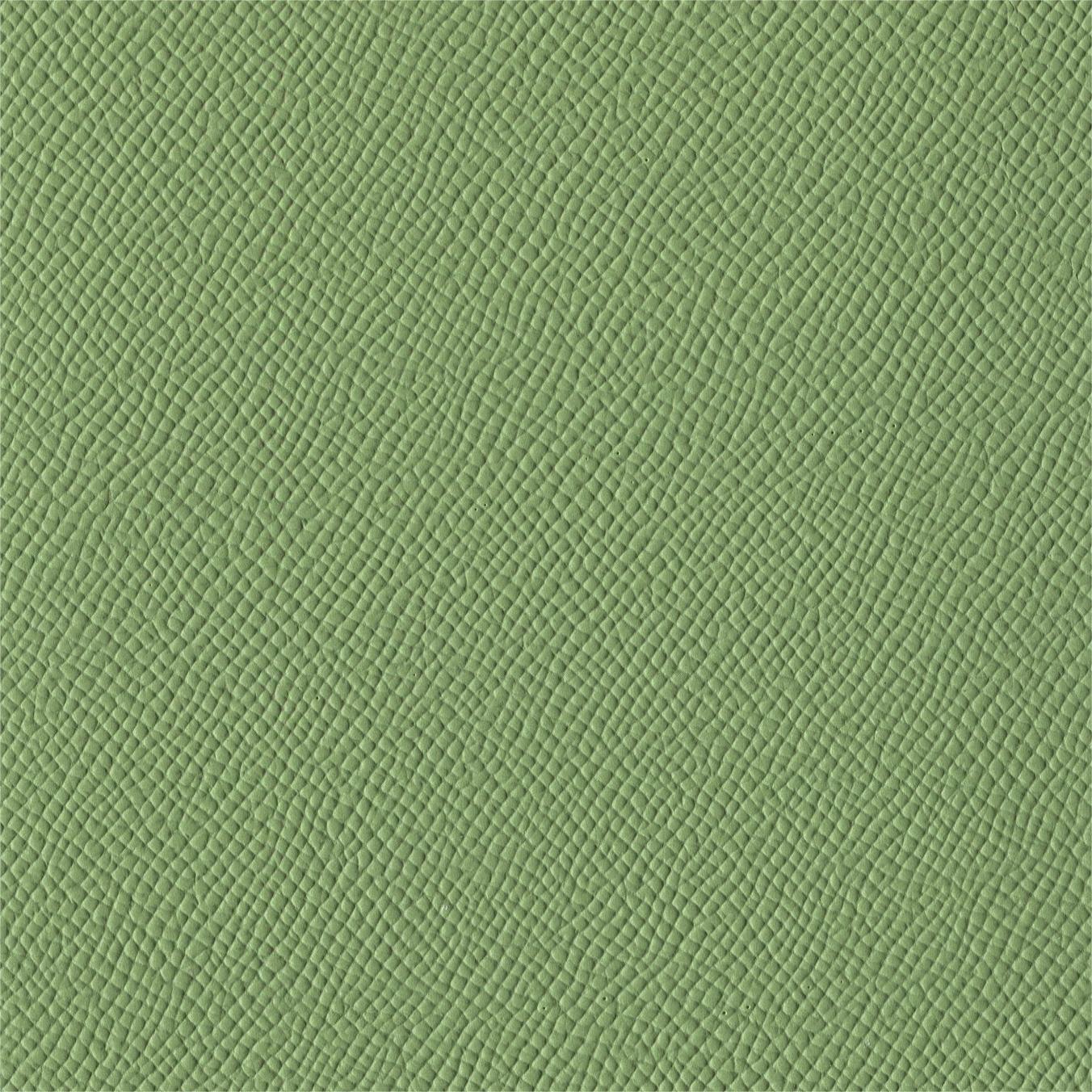 Verde Aguacate