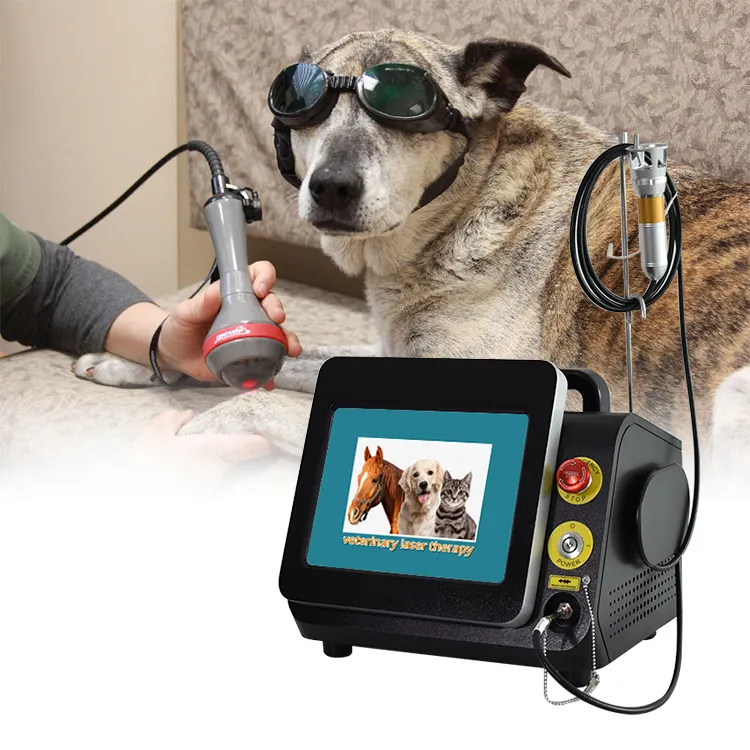 Perangkat fisioterapi hewan portabel, alat terapi Laser medis pereda nyeri hewan peliharaan pada luka bengkak dan perawatan Arthritis