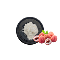 Poudre lyophilisée de poudre de jus de fruit de litchi organique naturel de Beverage100 % fonctionnel