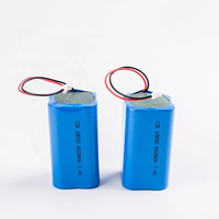 Baterai Solid State Inr 18650 6s1P 10c Silinder dengan Casing 1Ah~100Ah 800-Cycle
