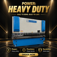 Mesin Tekuk Plat CNC LINGYU RG100 PLC Bekas 4001-6000 Jam Kerja 8000kg dengan Laporan & Inspeksi Video