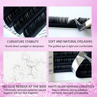 Cils en volume russe Everrich avec logo personnalisé en gros, 0,05 mm, 0,03, 0,07, en soie, faciles à éventailer, cils en fleurs, extensions de cils