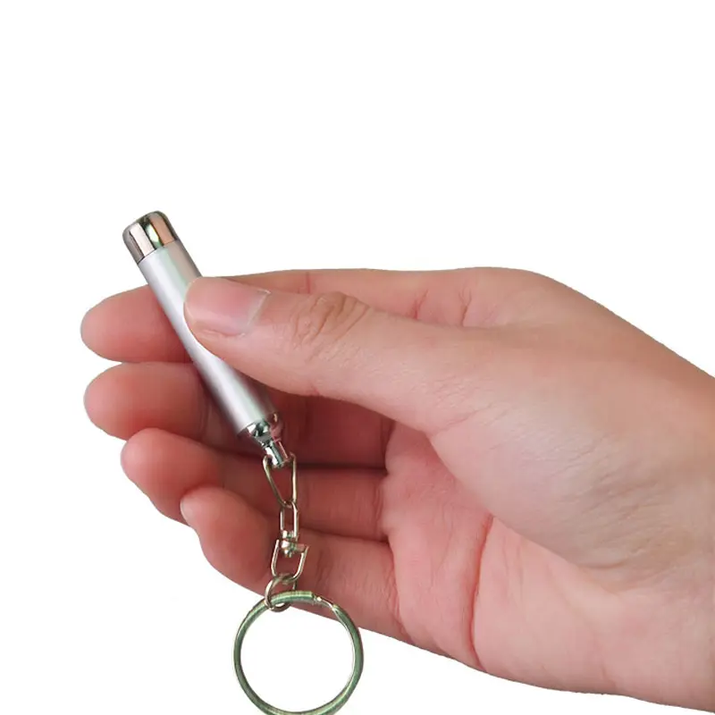 Portable Mini LED 365nm-395nm UV Keychain Flashlight LED Flashlight Custom Key Ring Torch