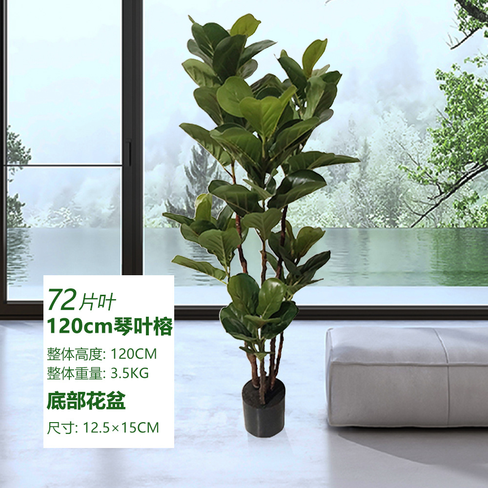 Qinye rong 120cm