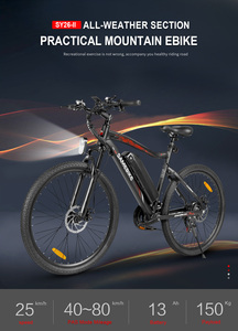 Professional Reliable Elektrofahrrad OEM Electric Bike electric city bike steel frame ebike - Product Image 4