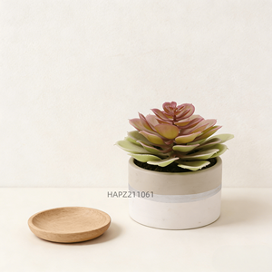 Suculenta Artificial Premium de <span class=keywords><strong>Echeveria</strong></span> Grande en Maceta de Cerámica, Planta Artificial en Maceta para Decoración del Hogar y Oficina - Product Image 1
