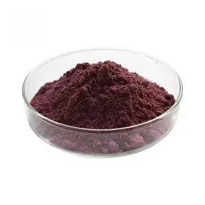 Natural organic plant extract 98% OPC Procyanidins Powder grape seed extract