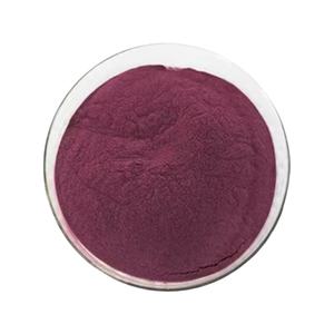 Поставка по заводской цене, фруктовый порошок бузины, экстракт бузины, порошок - Product Image 2