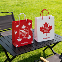 Sacs shopping en papier de luxe avec logo personnalisé, poignée, pelliculage or mat pour magasin de vêtements, emballage cadeau souvenir